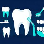 Gum Disease in Seniors: Symptoms, Prevention and Treatment