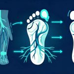 Peripheral Neuropathy in Seniors: Balance, Symptoms and Mobility